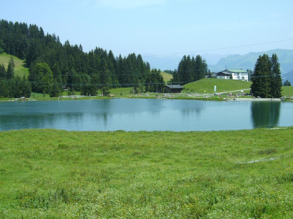 Bauernhof Hundbichl Villa Brixen im Thale Dış mekan fotoğraf